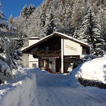 Orizzonti Montani Apartment Pieve di Cadore Luaran gambar