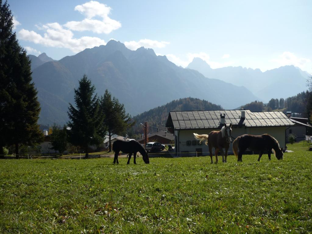 Orizzonti Montani Apartment Pieve di Cadore Luaran gambar