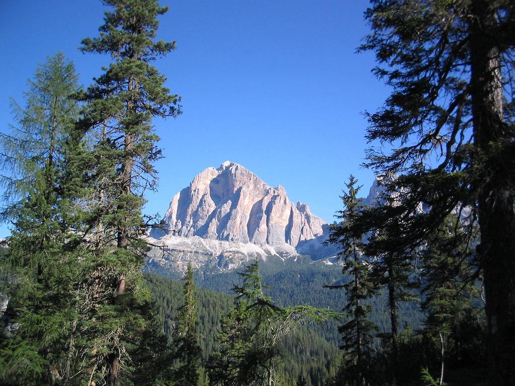 Orizzonti Montani Apartment Pieve di Cadore Luaran gambar