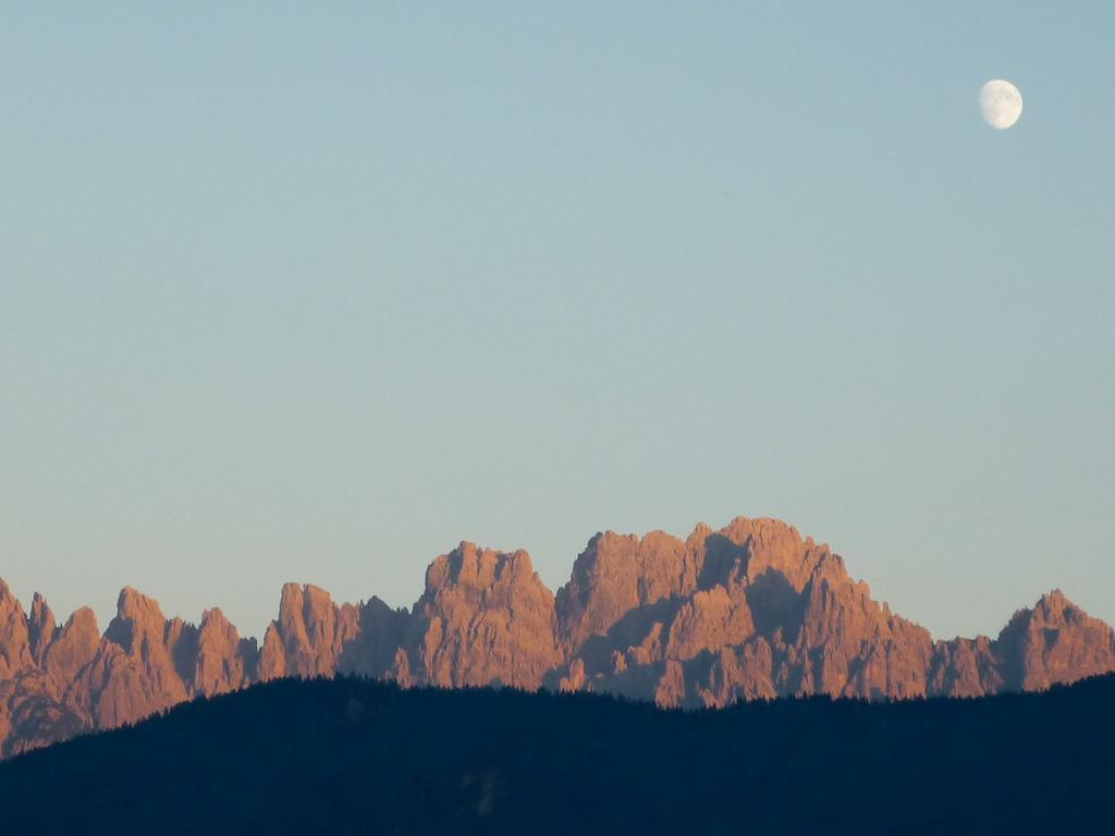 Orizzonti Montani Apartment Pieve di Cadore Luaran gambar